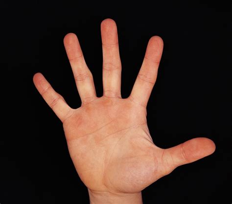 Bit.ly/subscribeviki about traces of the hand (손의 흔적): Brain Post: If You Had to Cut Off One Finger, Which One ...