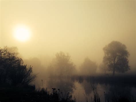 Morning Fog Over The Lake In The Rays Of The Rising Sun Free Image Download