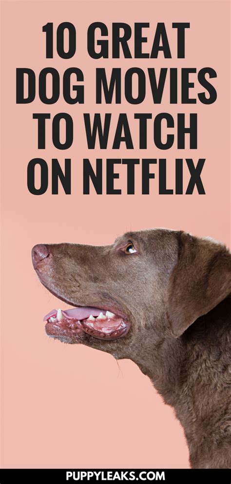 10 Great Dog Movies Available On Netflix Puppy Leaks