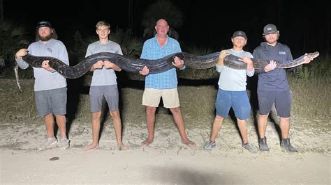 Florida Men Capture Massive 17 Foot 200 Pound Invasive Python In