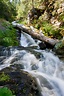 Whiskeytown Falls, California, United States - World Waterfall Database