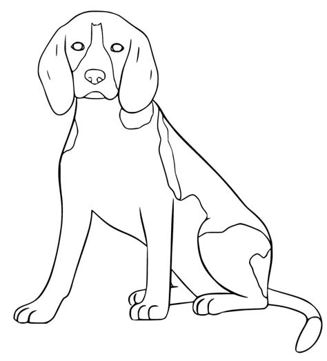 Free Printable Beagle Coloring Page Free Printable Coloring Pages For