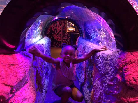 The Perfect Day Out At Sealife Orlando