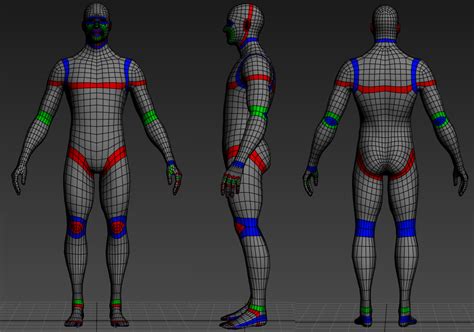 Human Mesh Showing Edge Loops For Animation Ready Character Blender