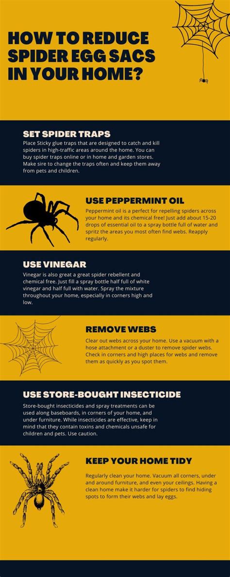 How To Get Rid Of Corner Spiders Effective Home Pest Control Tips