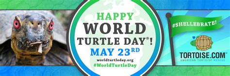 Shellebrate World Turtle Day かめごと