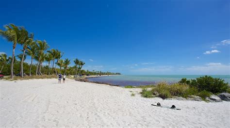Smathers Beach A Key West Tour E Visite Guidate Expedia It