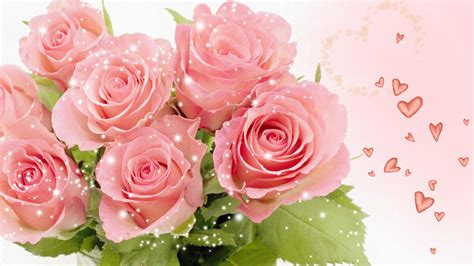 Pretty Pink Roses Wallpaper Pink Color Photo 34590812 Fanpop