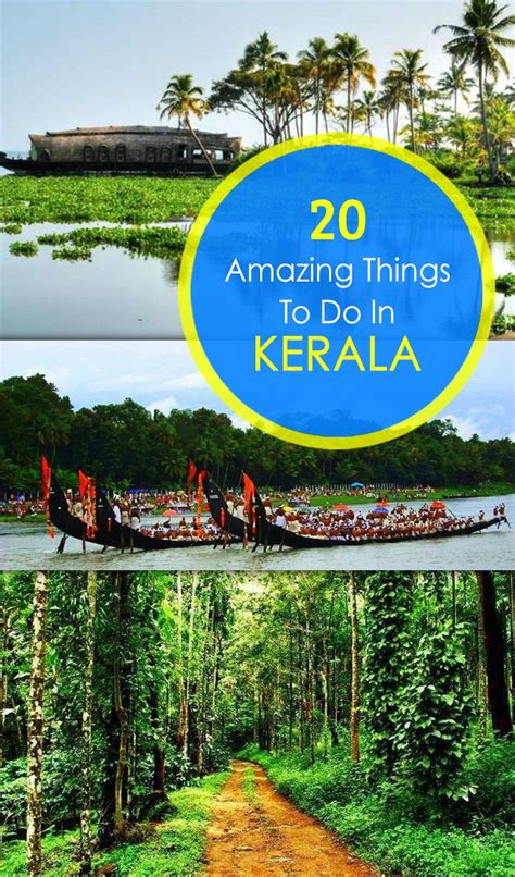 Amazing Things To Do On Your Trip To Kerala Things To Do Kerala Places To Go
