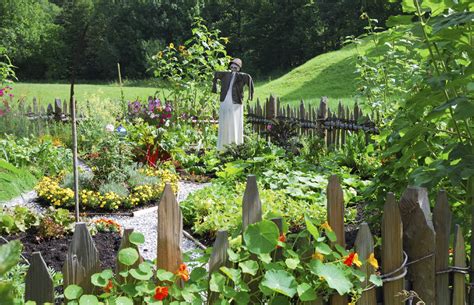 Fruit vegetable garden are scientifically designed to ensure the best breathability and watering mechanisms to ensure that your lovely plants and flowers keep flourishing. Vegetable Garden Design - Ideas For Designing A Vegetable ...