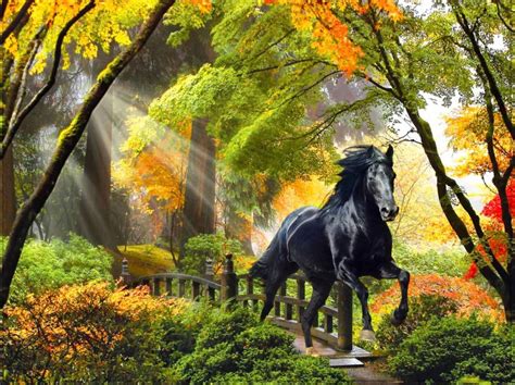 Fall Rays Horse Beautiful Trees Art Enchanted Bridge