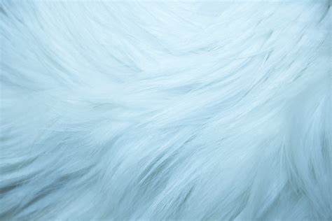 Baby Blue Fur Texture Picture Free Photograph Photos Public Domain