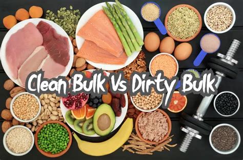 Clean Bulk Vs Dirty Bulk Which Is The Optimal Choice