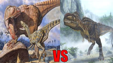 Carcharodontosaurus Vs Giganotosaurus Who Would Win Youtube