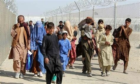 پاکستان میں افغانستان سے پناہ گزینوں کی آمد کا سلسلہ جاری Pakistan Dawnnews