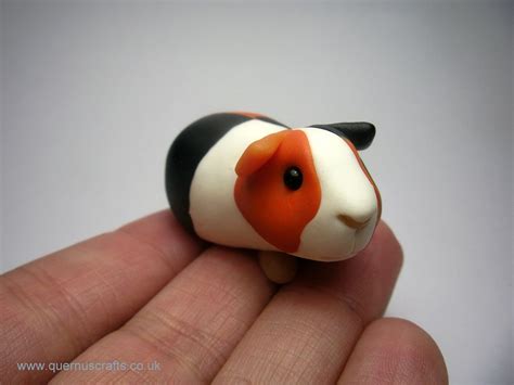 Tricolor Mini Guinea Pig By Quernuscrafts Via Flickr Polymer Clay