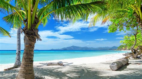 Beautiful Beach Scenery With Trees Shadows On Beach Sand