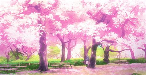 Animated Cherry Blossom Tree Wallpaper 