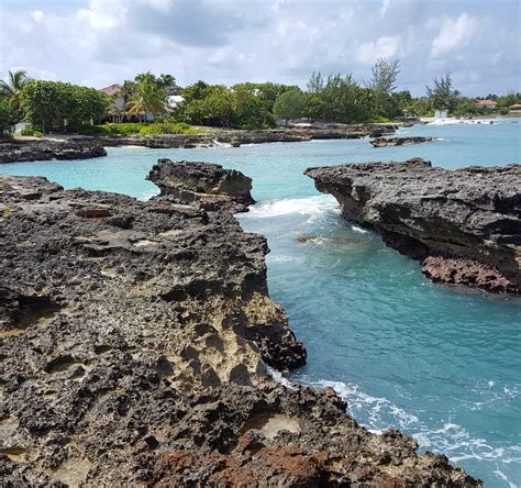 Smith Cove Grand Cayman All You Need To Know Before You Go