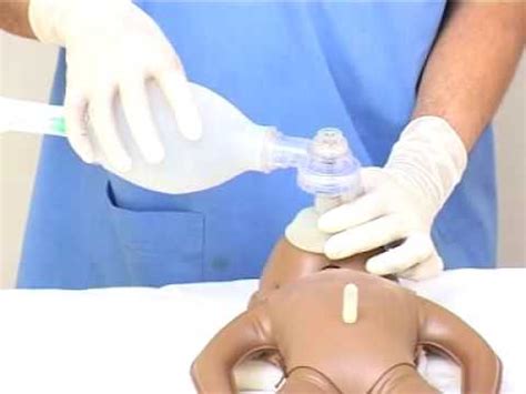 Basic Neonatal Resuscitation Performance Checklist Prolonged Ventilation With Slow Hr
