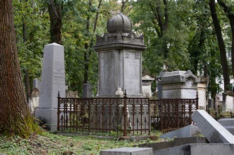 Fresh Push To Save Viennas Decaying Jewish Cemetery The Local