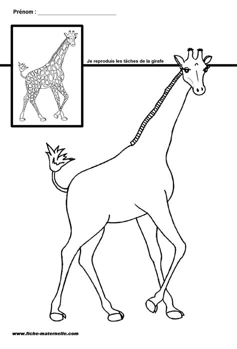 Site Maternelle Gs Et Ms Les Taches De La Girafe Animaux Du Zoo