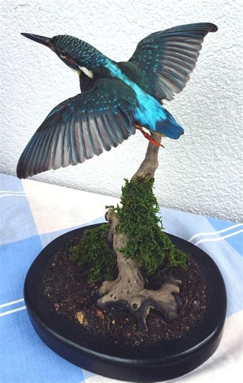 Geldautomat klein nürnberg 1, ebern. Bund Naturschutz Ebern - Hauptseite und Inhaltsverzeichnis