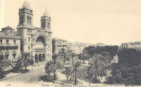 La Ville Nouvelle De Tunis Tunisie Cartes Postales Anciennes Ville