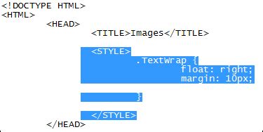 How To Wrap Text Around An HTML Image Using CSS
