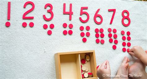 Fall Odd Even Numbers Counters Montessori Math