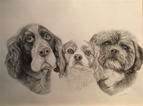 Pencil Drawing By Lauren Mills Pet Portraits Pet Portraits Dog Art