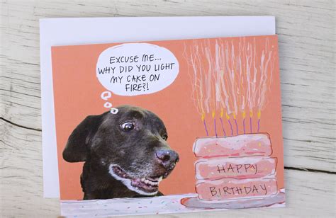 Funny Dog Birthday Card Birthday Cake On Fire Dog Birthday Funny Dogs