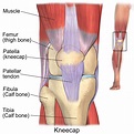 Runner’s Knee Causes And Treatment – [𝗣]𝗥𝗲𝗵𝗮𝗯