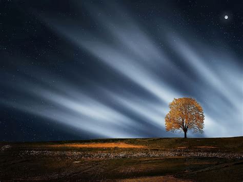 Autumn Night Sky Hd Wide Wallpaper Preview