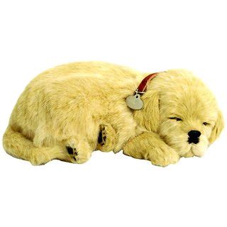 You'll receive email and feed alerts when new items arrive. Buy Perfect Petzzz Golden Retriever Online- Shopclues.com