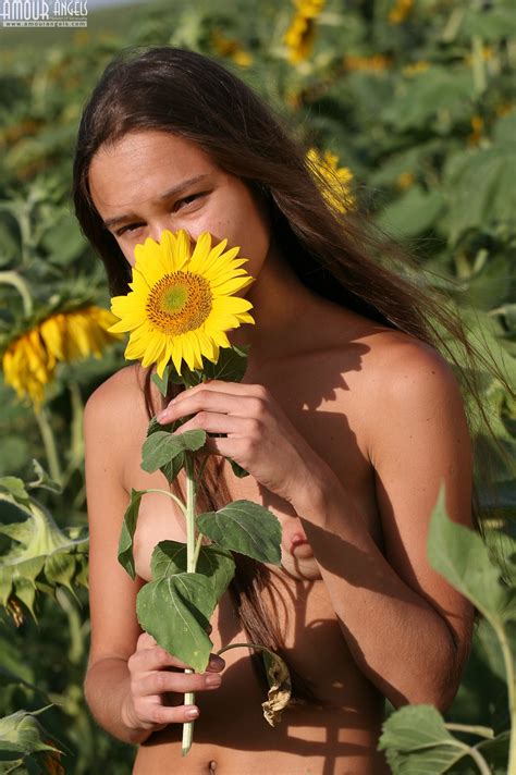 06 08 30 Olga Sunflowers Amourangels 0035 Porn Pic Eporner