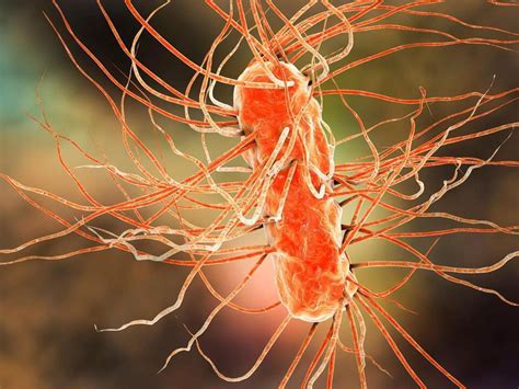 Scientists Have Discovered That Bacteria Have Memories