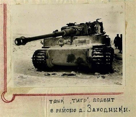 Historia Y Tecnología Militar Tanque Tiger Destruido En Bielorrusia