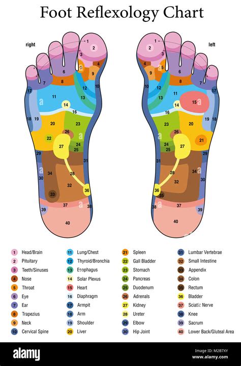 Acupressure And Reflexology Chart For The Feet In Ph