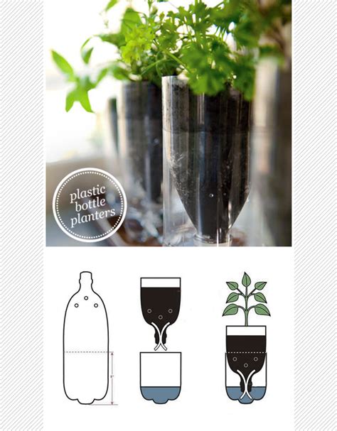 Maiko Nagao Diy Upcycled Plastic Bottle Herb Planter