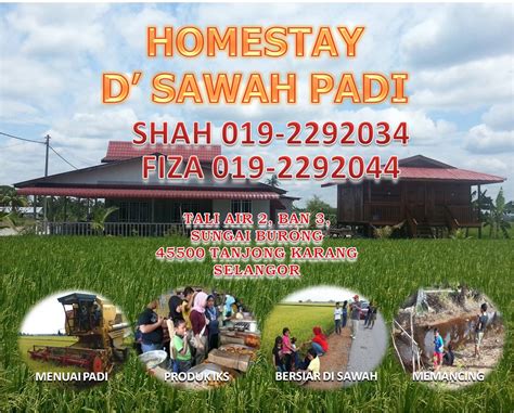 Sila lah berhubung dengan kami untuk pengurusan tunjuk jalan yang tepat. Homestay D' Sawah Padi Tanjung Karang: Homestay Teratai