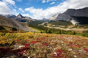 Die Rockies im Herbst II Foto & Bild | nature, herbst, canada Bilder ...