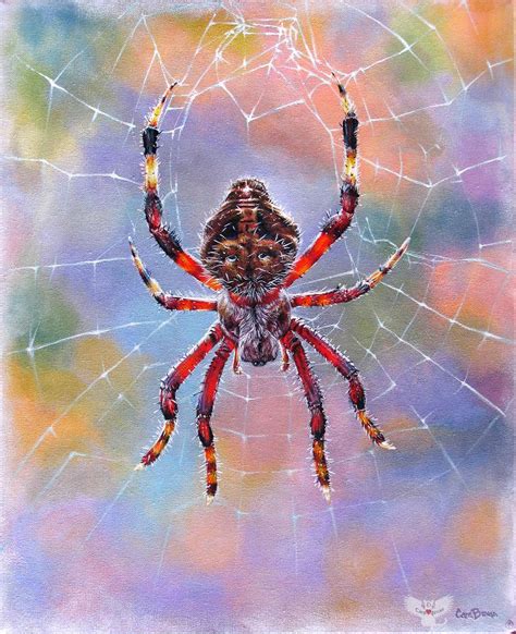 Spider Paintings