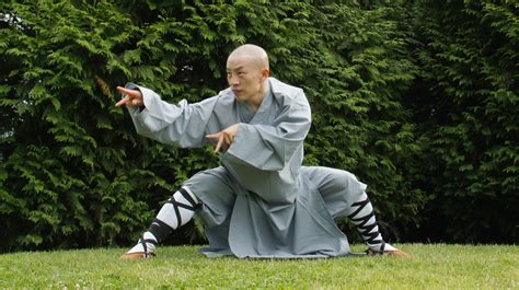 Top 8 Kung Fu Movies Of Martial Arts Ever Made Ehotbuzz