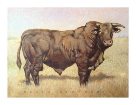 Santa gertrudis cattle were recognized in 1940 by the united states department of agriculture as an authentic and distinct breed of cattle. Santa Gertrudis bull. Oil on canvas 12x16 #fineart# ...