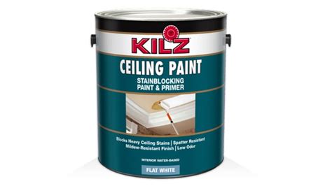 While it's not unacceptable to paint. Best Ceiling Paint Brands - Bontena Brand Network