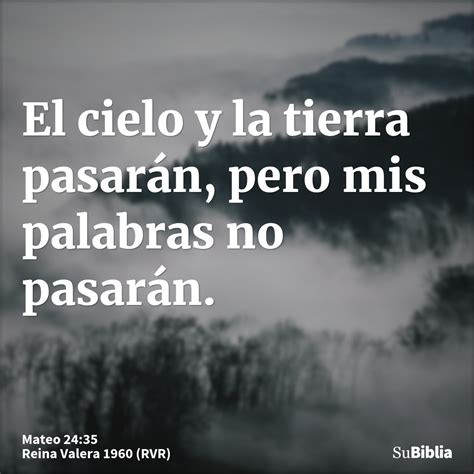 Mateo 2435 Biblia