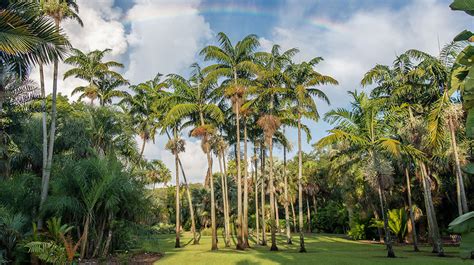 Fairchild Tropical Botanic Garden Miami Attractions
