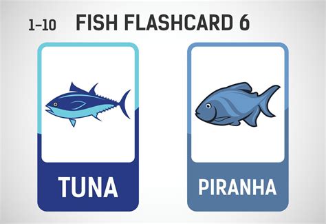 Fish Flashcards For Kids Educational Cards For Preschool Printable