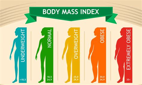 Woman Body Mass Index Info Chart Female Silhouette Medical Infographic